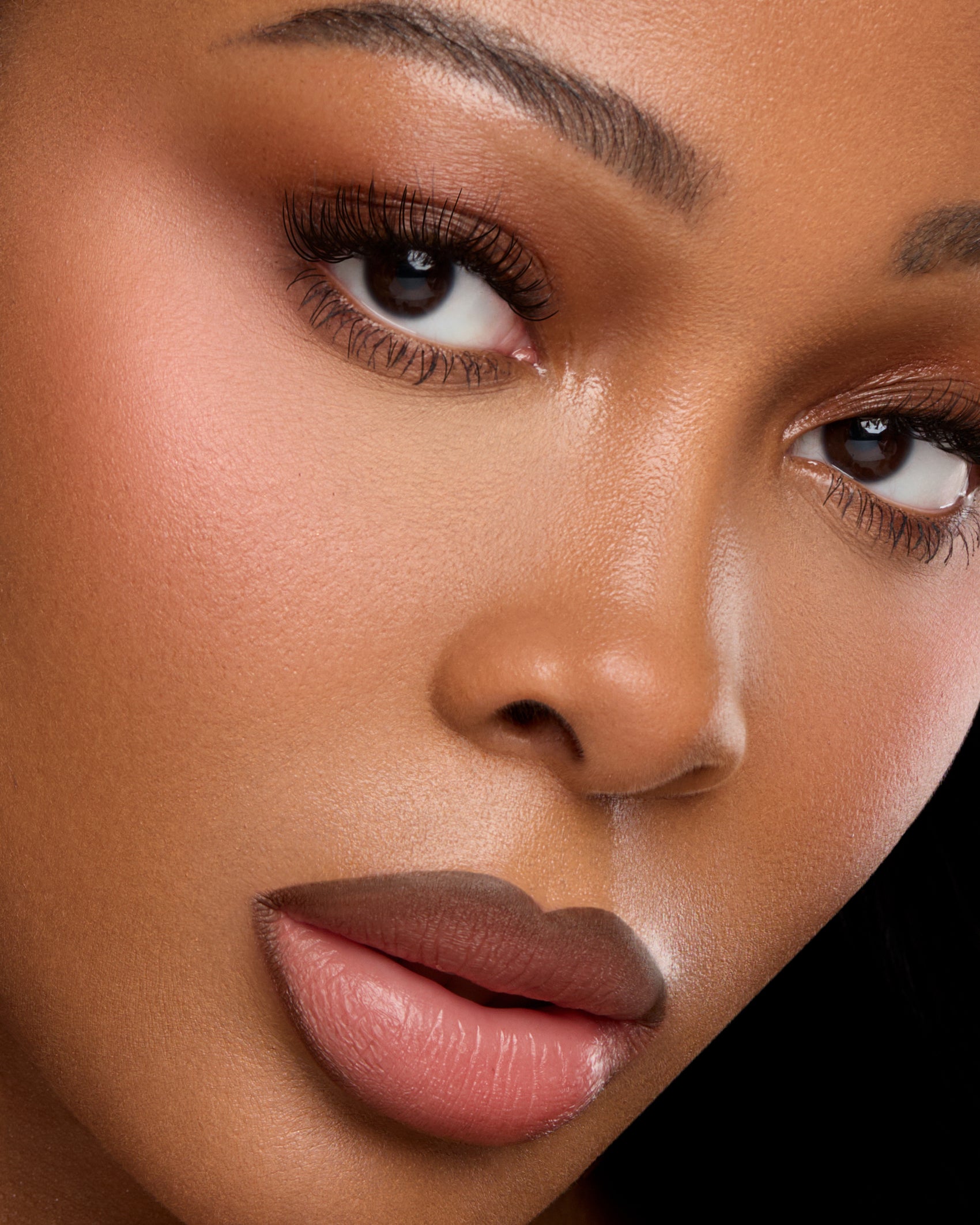 precision lip liner (espresso)
