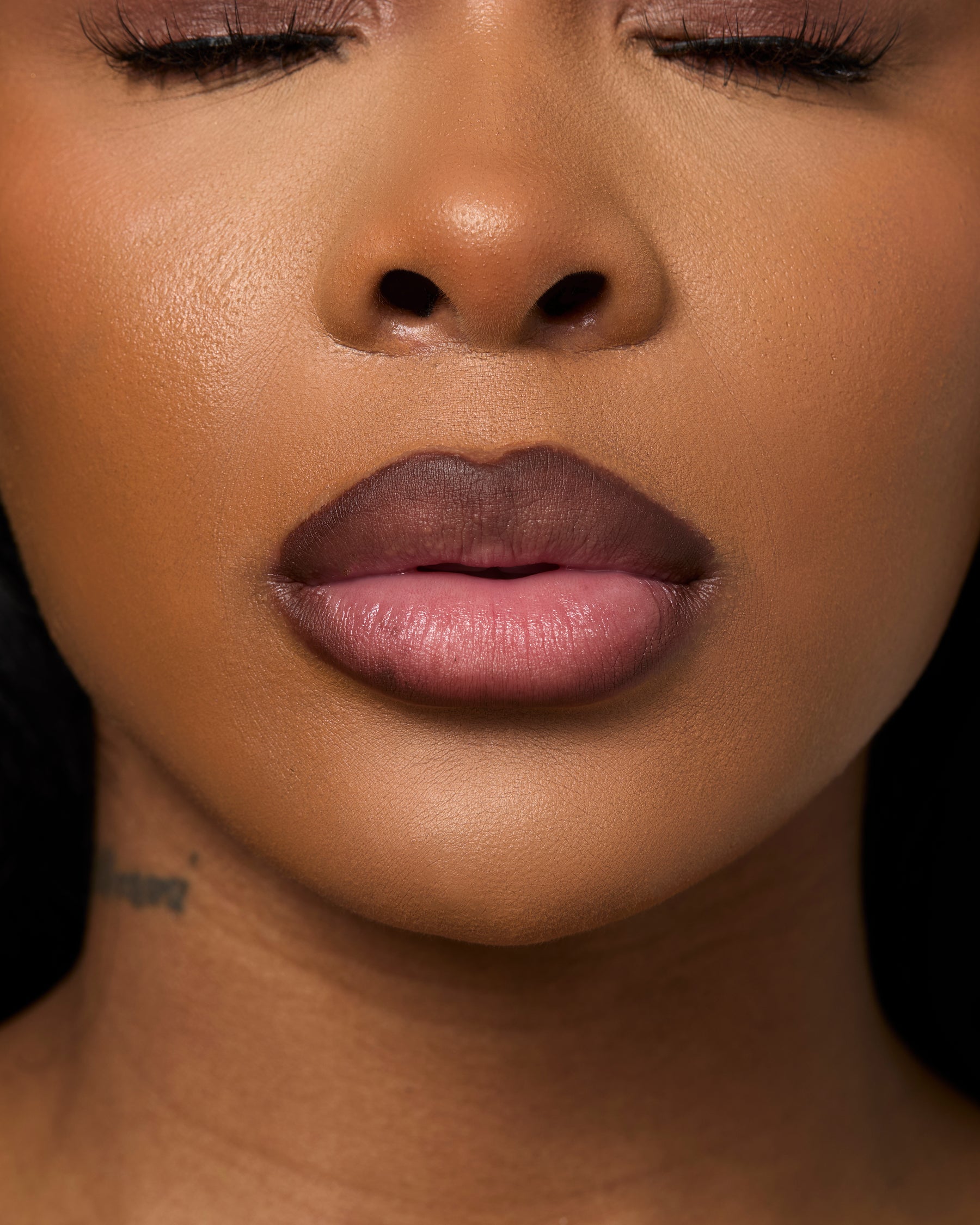 precision lip liner (mocha)